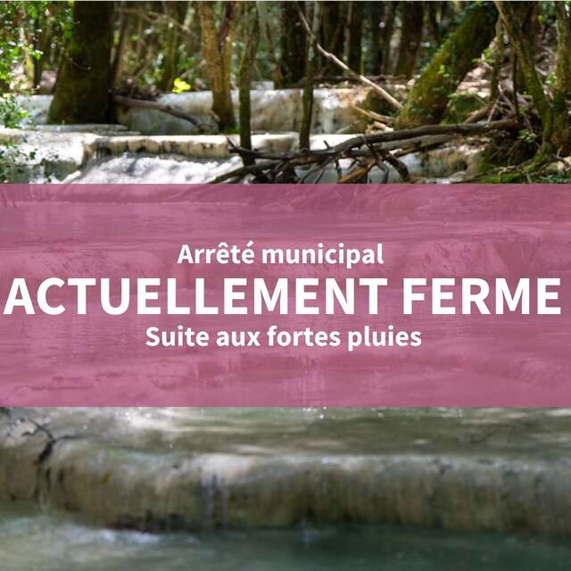 Source et vasques de l'Huveaune