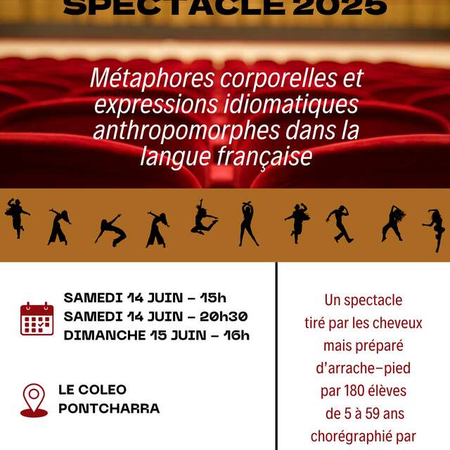 Manifestations corporelles et expressions idiomatiques anthropomorphes dans la langue française
