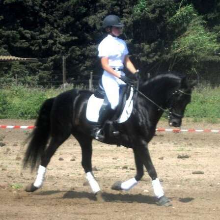 Stage d'équitation aux Murettes