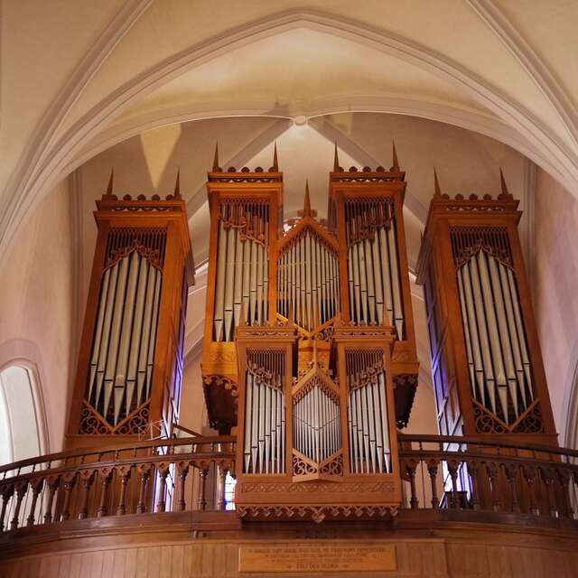 Violin and organ concert