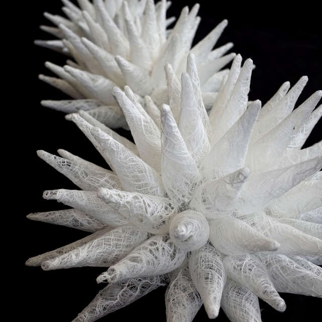 Exhibition: Regards croisés