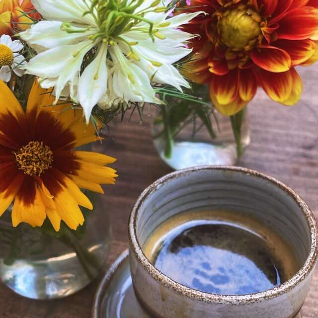 Café Vivaterre