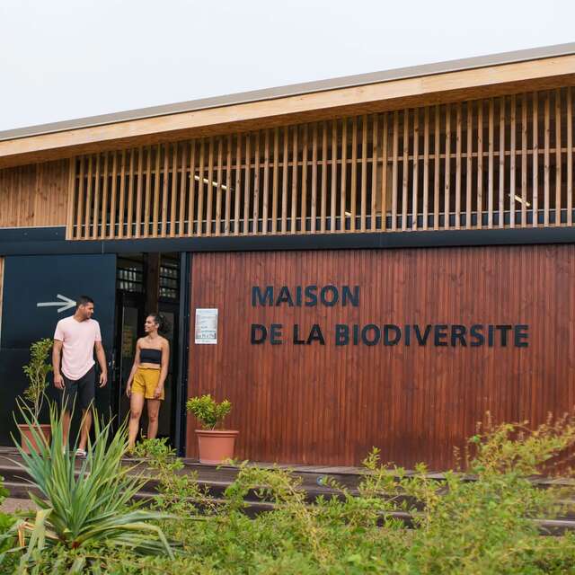 Plantation écocitoyenne au Parc Urbain de Sainte-Marie