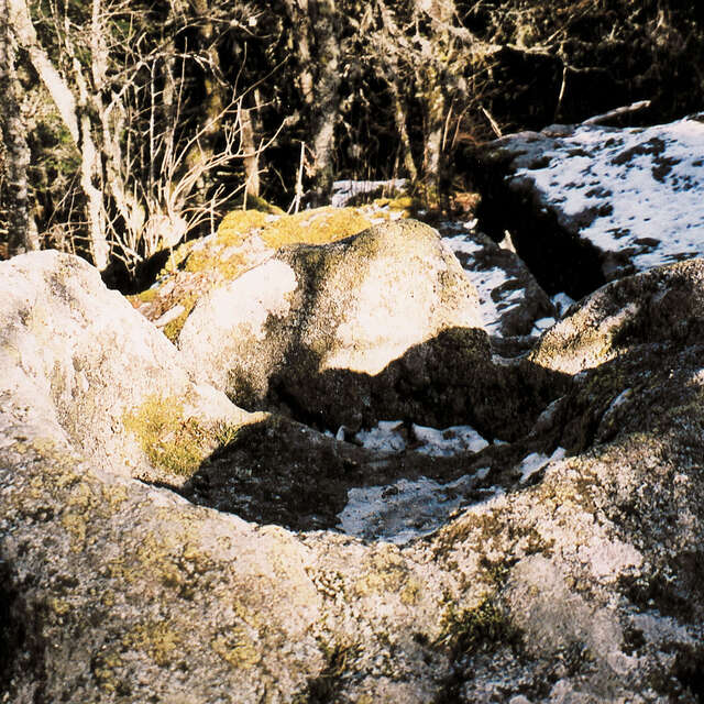 Le Siège de la Reine