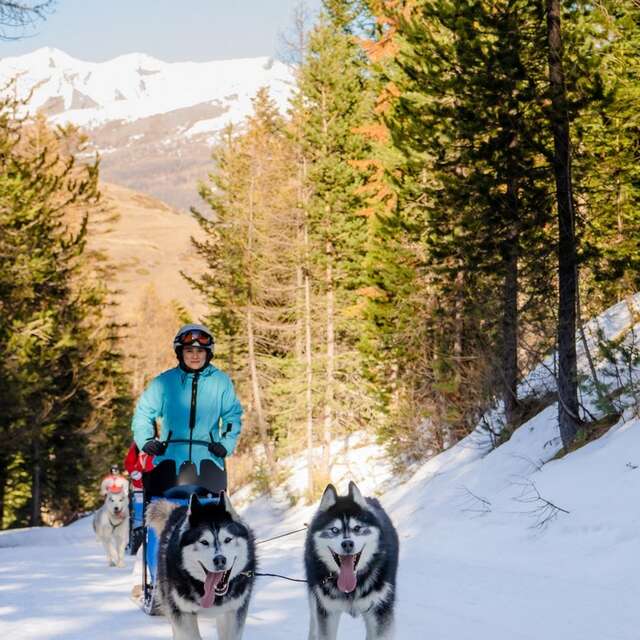 Conduite d'un traineau 1/2 Journée