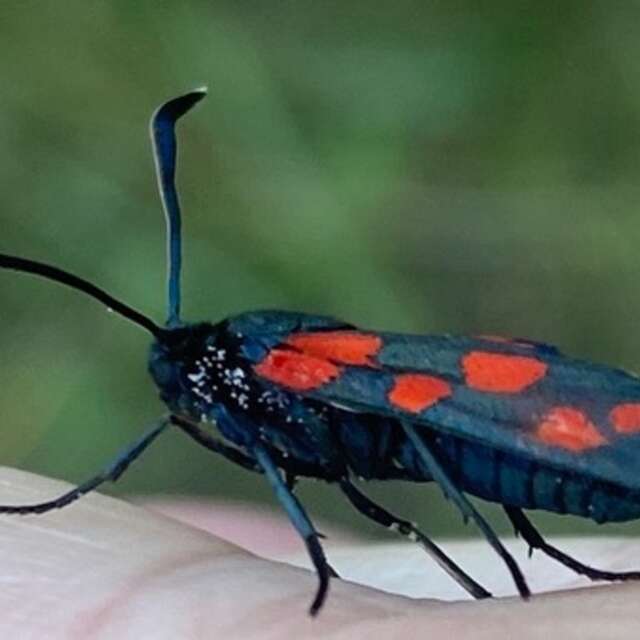 Ventoux Nature&Terroir