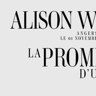 Spectacle : Alison Wheeler : La promesse d'un soir