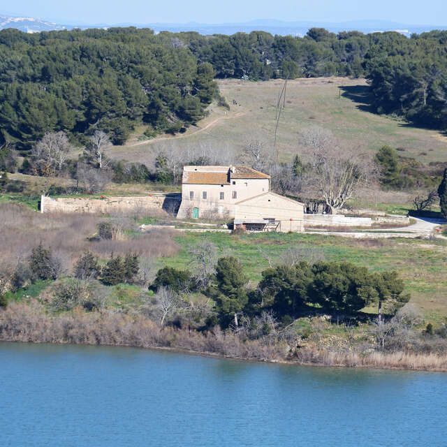 Forêt de Castillon - Saint-Blaise