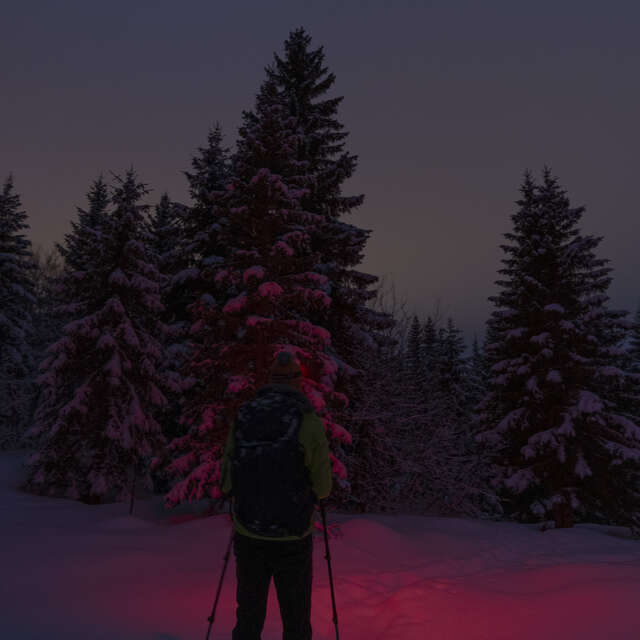 Randonnée nocturne "Conte moi la nuit"