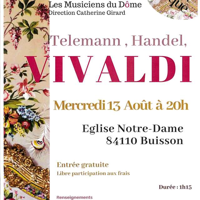 Concert 'Les Musiciens du Dôme