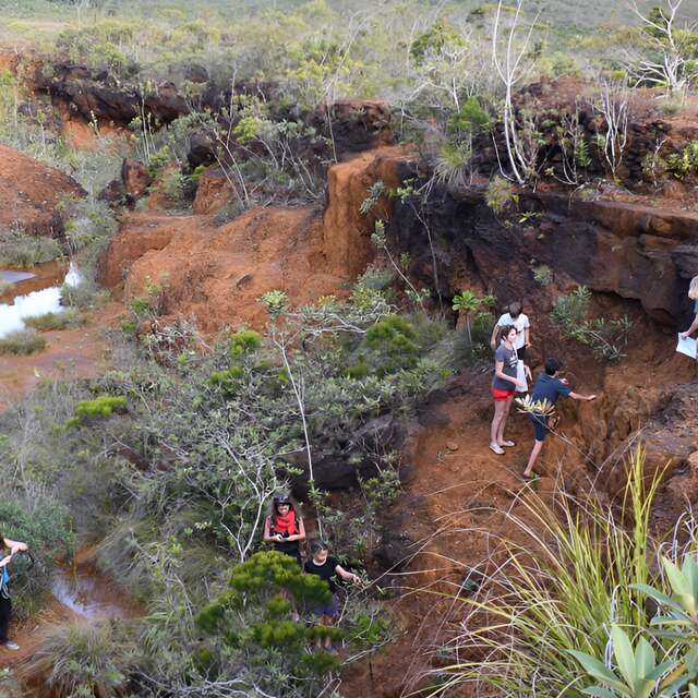 Cobaleurs Waterhole