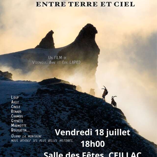 Projection de film : Animal, entre terre et ciel