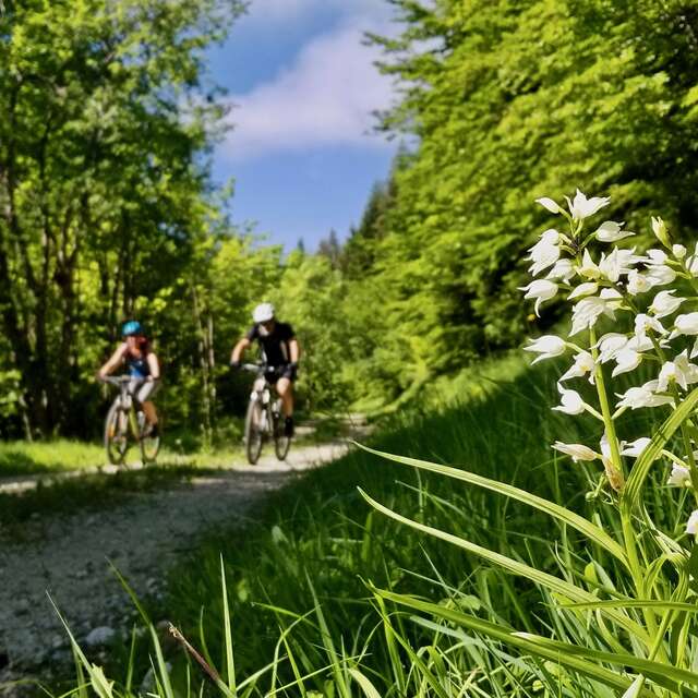 Parcours VTT -  Boucle de St Hilaire à St Bernard