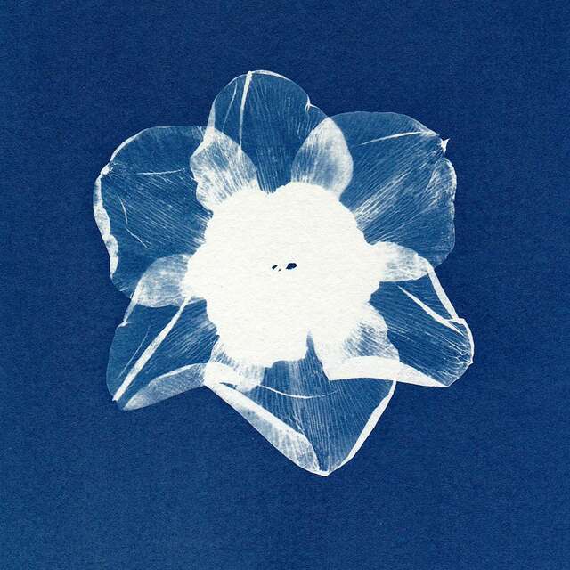Atelier - Livre accordéon au fil de l'eau en cyanotype