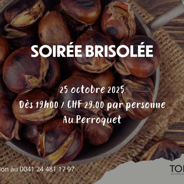 Soirée Brisolée- Le Perroquet