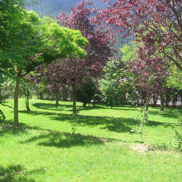 Camping de la Ferme