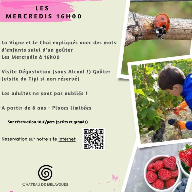 Dis, raconte moi la vigne