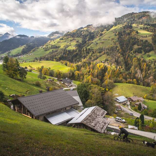 Up n' Down - Navettes & guide enduro