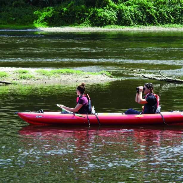 Découverte de la rivière en canoë !