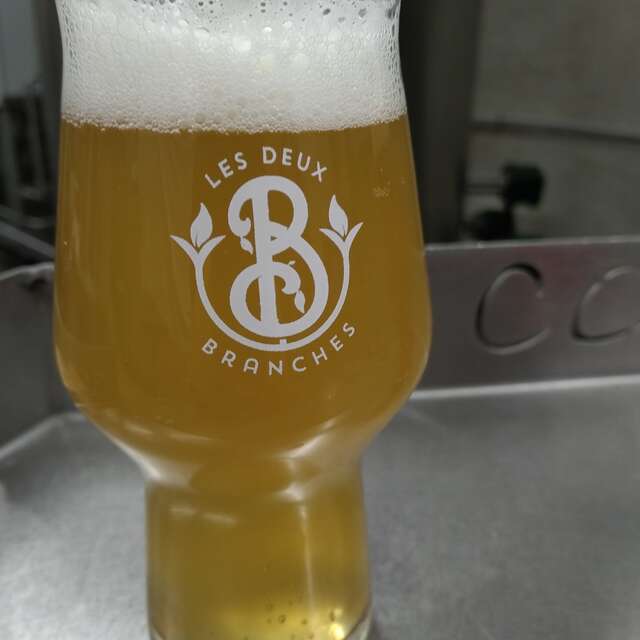 Brasserie Les Deux Branches