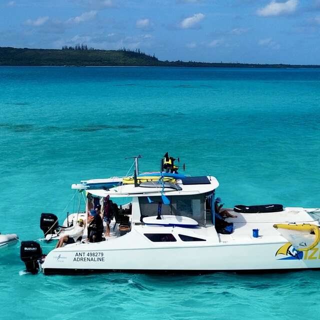 Izifoil - Location catamaran & Cours de Wingfoil
