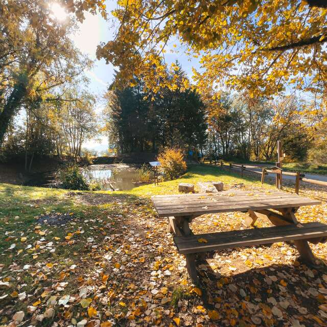 Picnic area - Charly