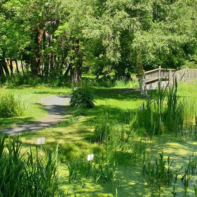 Rencontre avec les bonnes herbes