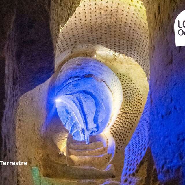 Picnic y visita a Hellice Terrestre con Loire Odyssée
