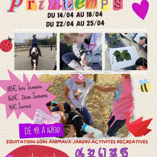 Stage Nature & Aventure - Animalin