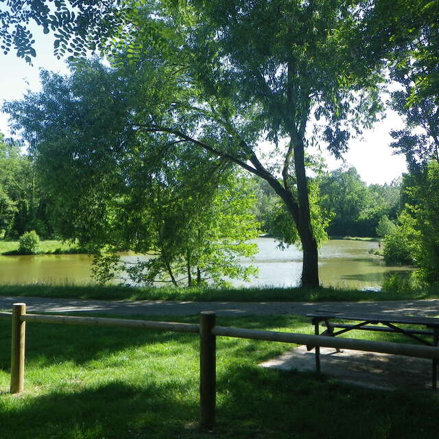 Plan d'eau du Bois de la Dame