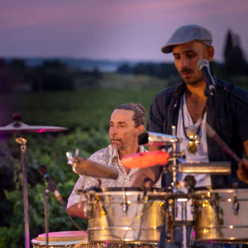 Les Musicales dans les Vignes - Ahinama