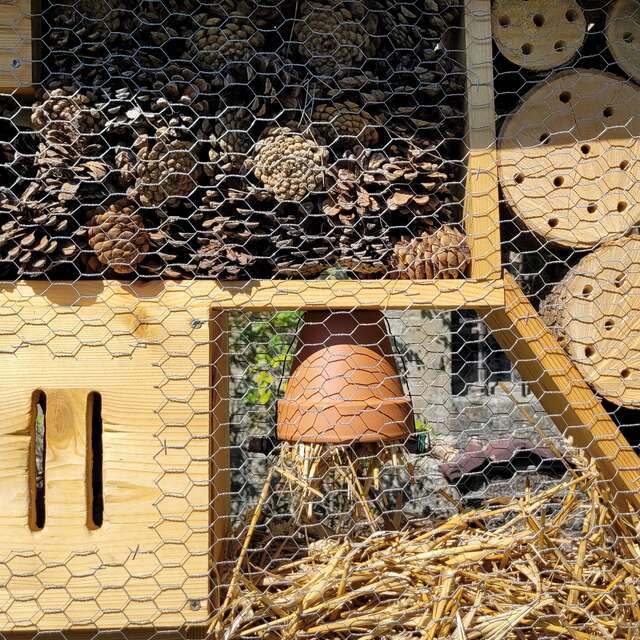 Atelier - construction d'un hôtel à insecte