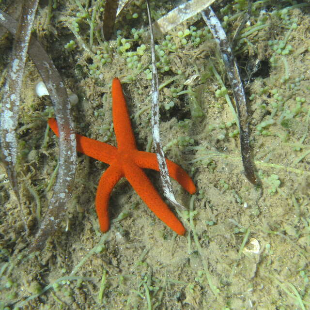Passeggiata acquatica "Le Jardin des Mattes