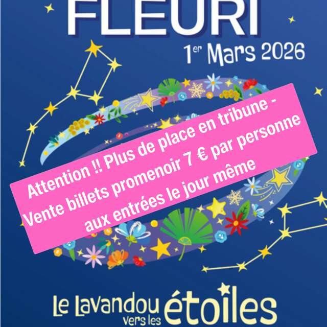 Corso fleuri du Lavandou