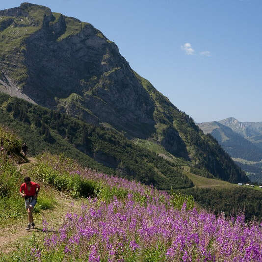 Parcours trail 5 bleu : Morzinette