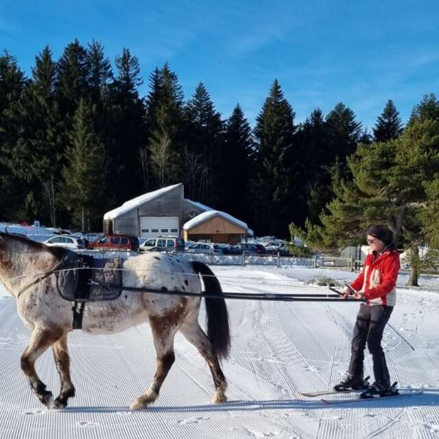 Entre ciel et terre - Ski-joëring