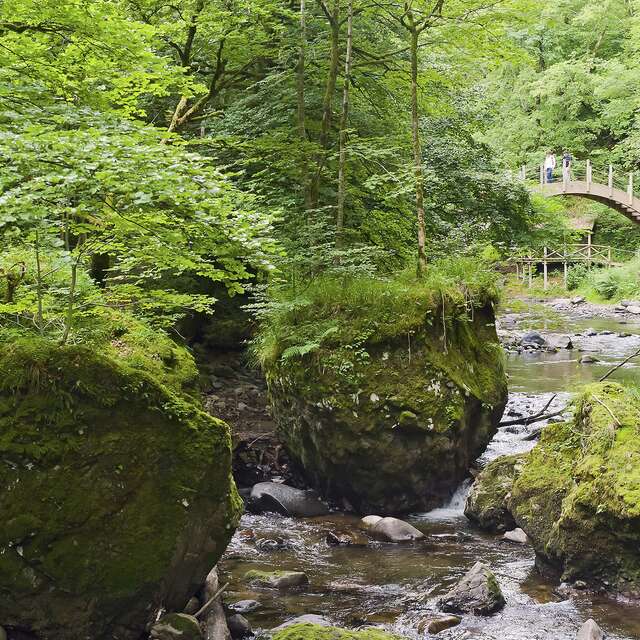 Sentier de découverte des Gorges de la Jordanne - Réouverture le 13 mai 2026