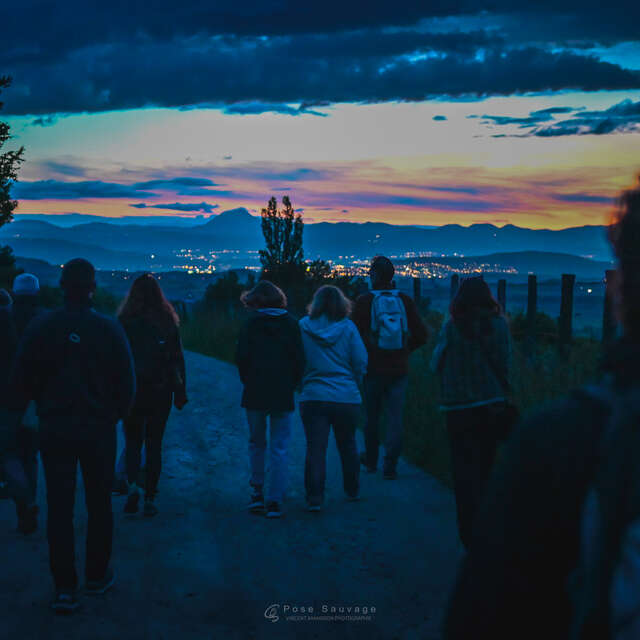 A la rencontre des chauves-souris