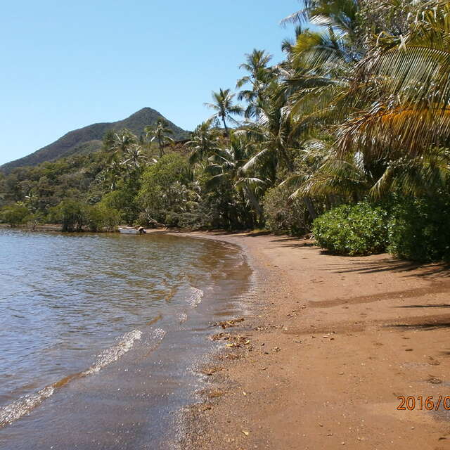 Plage du camping Dallas
