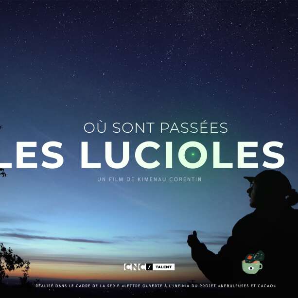 Où sont passées les lucioles