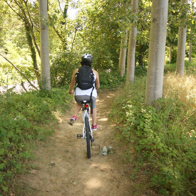 Mountainbike trail