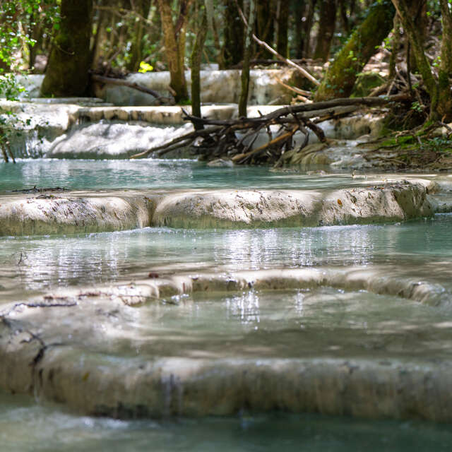 Source et vasques de l'Huveaune