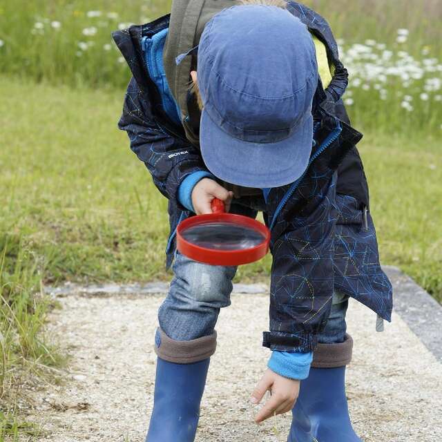 Ferme de la forêt - Apprentis naturalistes