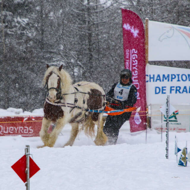 Championnat de France de Ski joëring