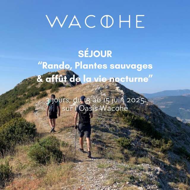 Hiking, Wild Plants & Nightlife Stay - Wacohe