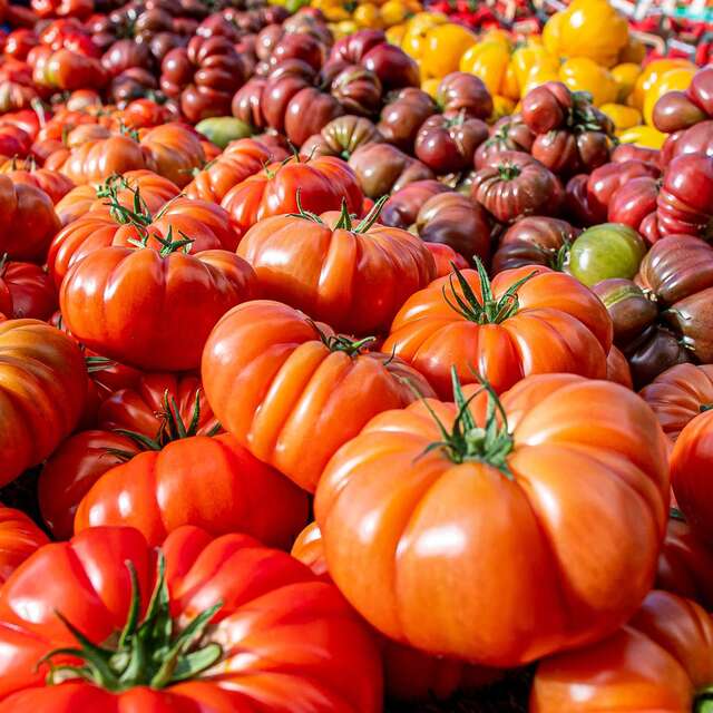 Marchés à Grasse