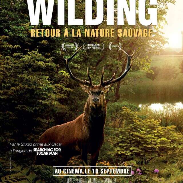 Ciné-débat autour du film Wilding - retour à la nature sauvage