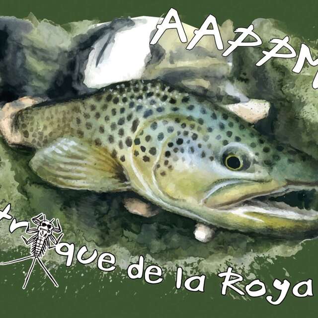 Pêche à la truite  à Breil sur Roya