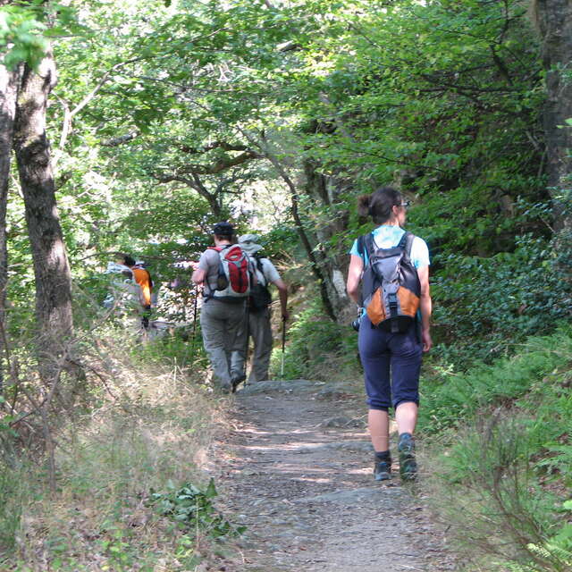 Montée de Chambles