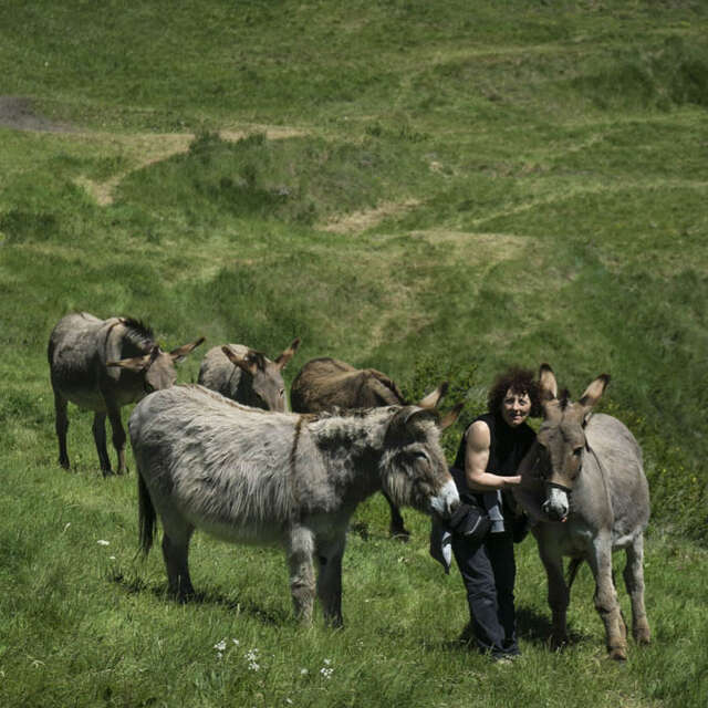 Au pas de l'âne rousin